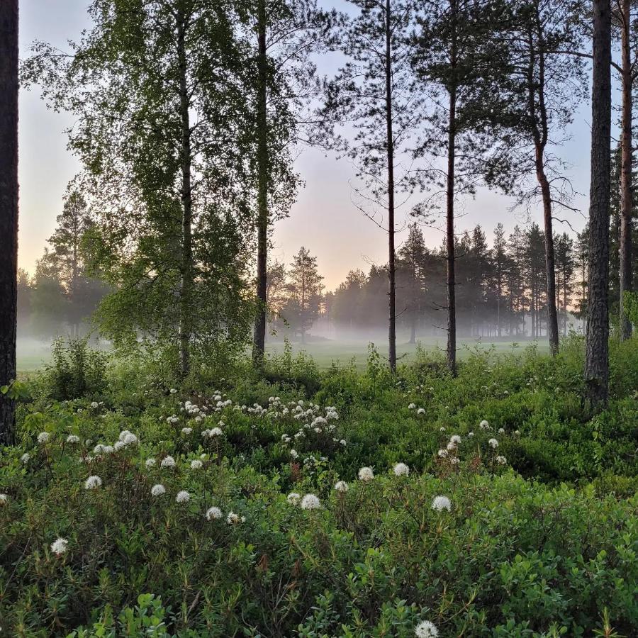 Siikavilla, Siikajoki Exterior foto